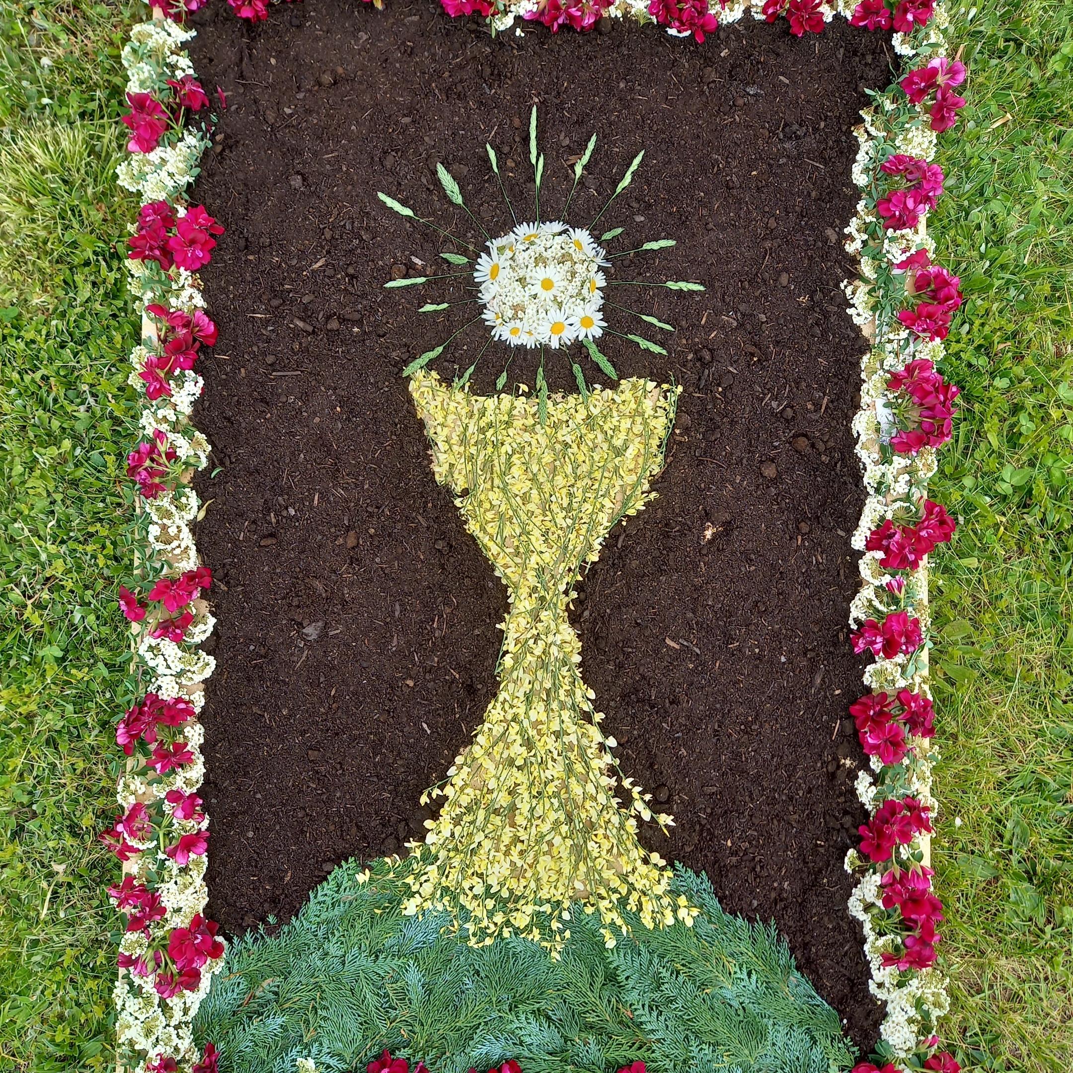 Blumenteppich