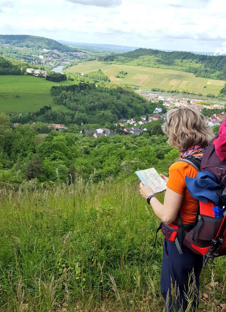 Frau mit Wanderführer und Wanderrucksack steht auf einem Hügel im grünen Moseltal.