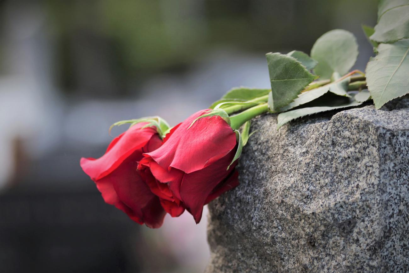 Zwei rote Rosen liegen auf einem Stein.
