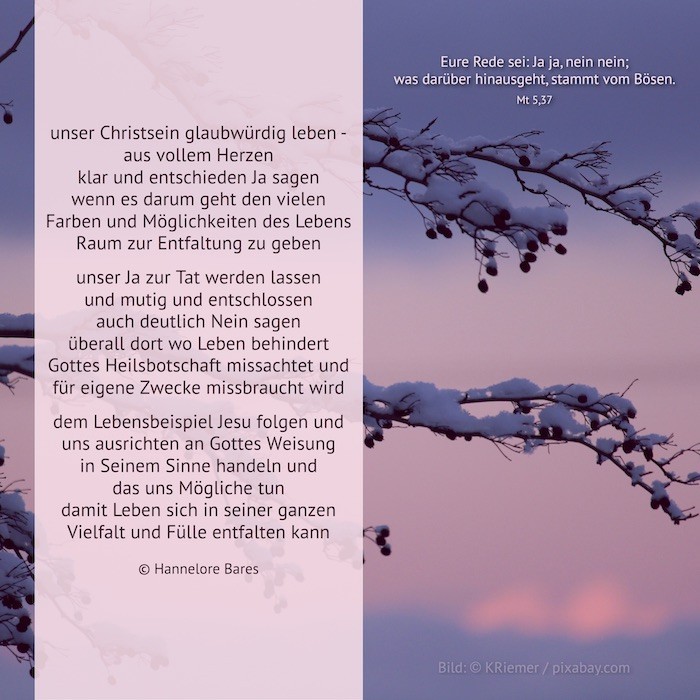 Bildimpuls_6_So_A_2026