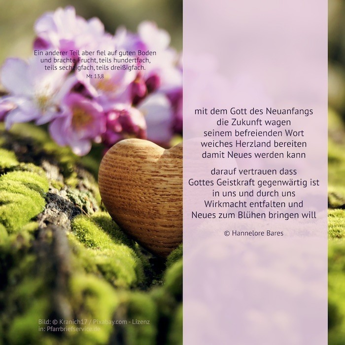 Blumen mit einem Herz aus Holz, daneben steht der Impulstext