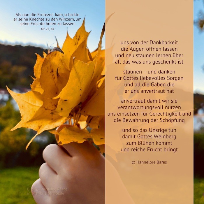 Eine Hand hält Laub in der Hand wie einen Blumenstrauß. Daneben steht der Impulstext.