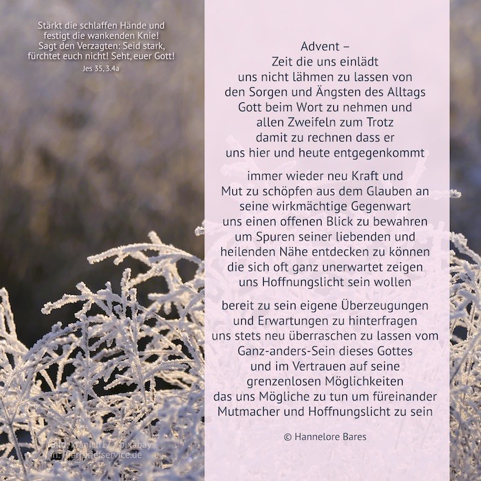 Frost auf Ästen.