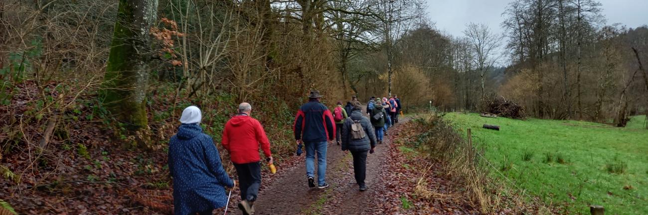 pilgernd unterwegs rund um das Kloster Himmerod (c) Judith Schwickerath Pilgergruppe ist unterwegs auf einem unbefestigten Weg an einer Weide entlang.