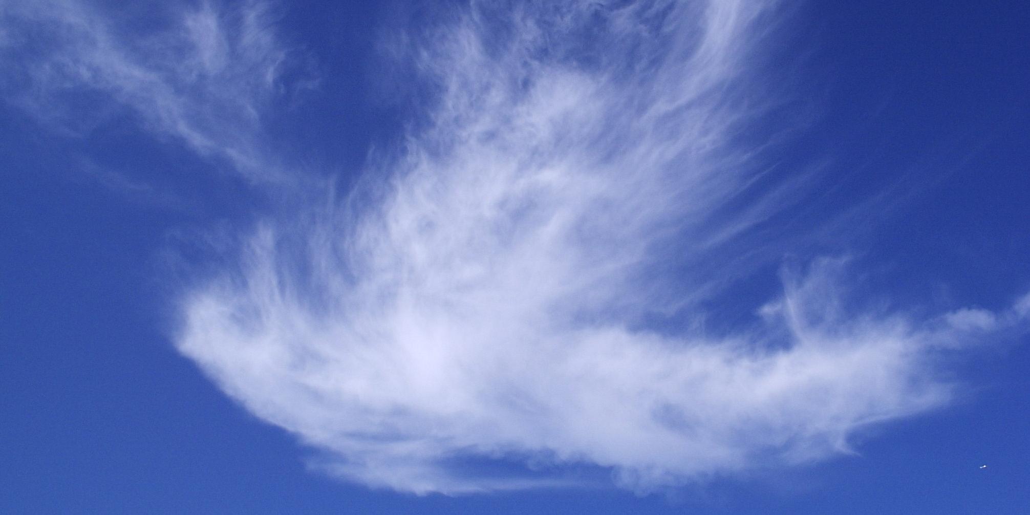 Wolke in Form einer Taube