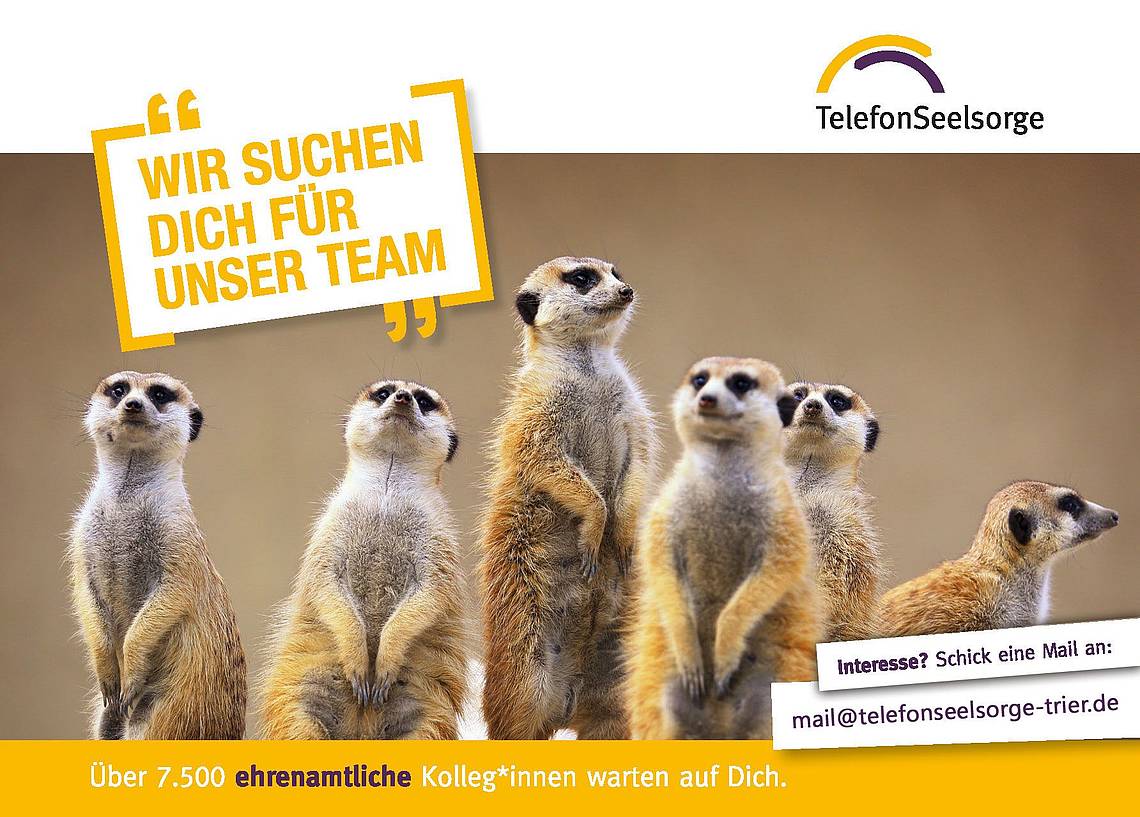 Man sieht eine Gruppe von Erdmännchen. Dazu der Text 'Wir suchen dich in unserem Team. Über 7.500 Ehrenamtliche warten auf dich.'