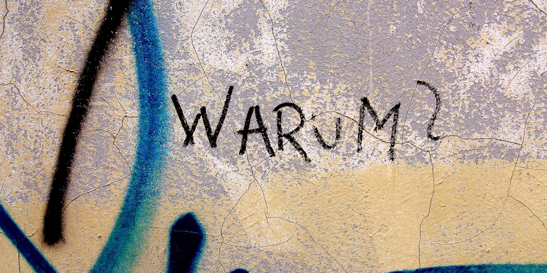 Auf einer Wand steht das Wort Warum mit einem Fragezeichen geschrieben