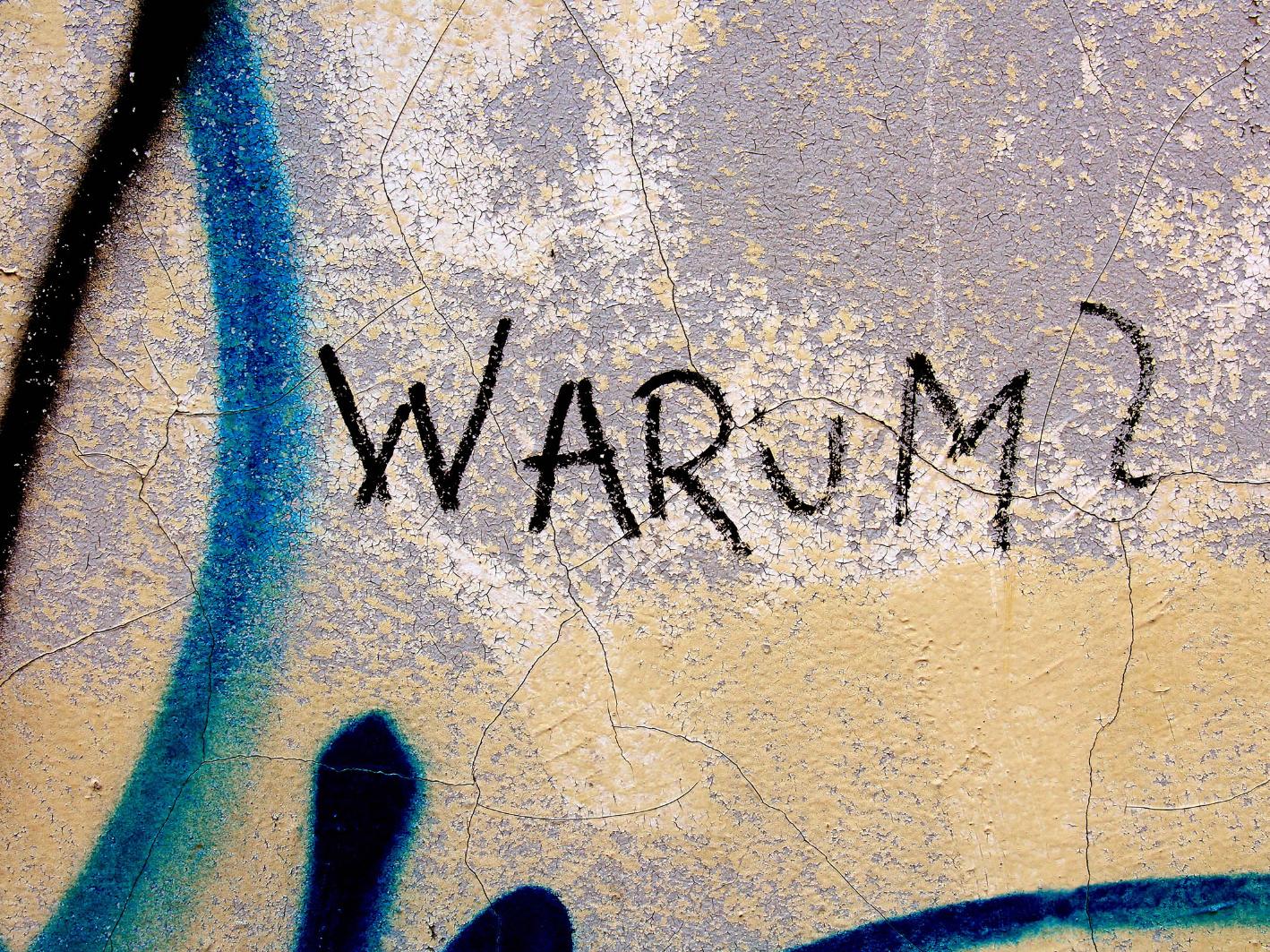 Auf einer Wand steht das Wort Warum mit einem Fragezeichen geschrieben