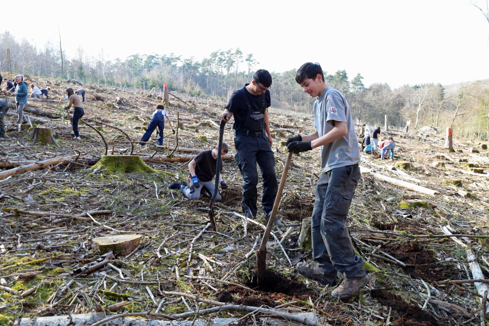 Fabian und Philipp (vorne) helfen mit einer Gruppe von Firmlingen bei der Baumpflanzaktion.