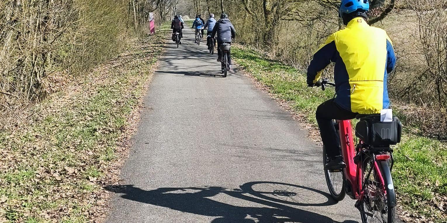 Mehrere Personen fahren mit Fahrrädern auf einem asphaltierten Weg durch eine baumreiche Landschaft. Der Weg ist von kahlen, frühsaisonalen Bäumen und niedrigem Gebüsch gesäumt. Im Vordergrund fährt eine Person auf einem roten E‑Bike, getragen wird ein blau‑gelber Fahrradhelm und eine passende Jacke. Weiter vorn auf dem Weg radelt eine Gruppe in lockerer Formation. Die Sonne wirft deutliche Schatten der Fahrräder auf den Boden. Rechts und links des Weges liegen trockene Blätter und Grasflächen, die Umgebung wirkt ruhig und ländlich.