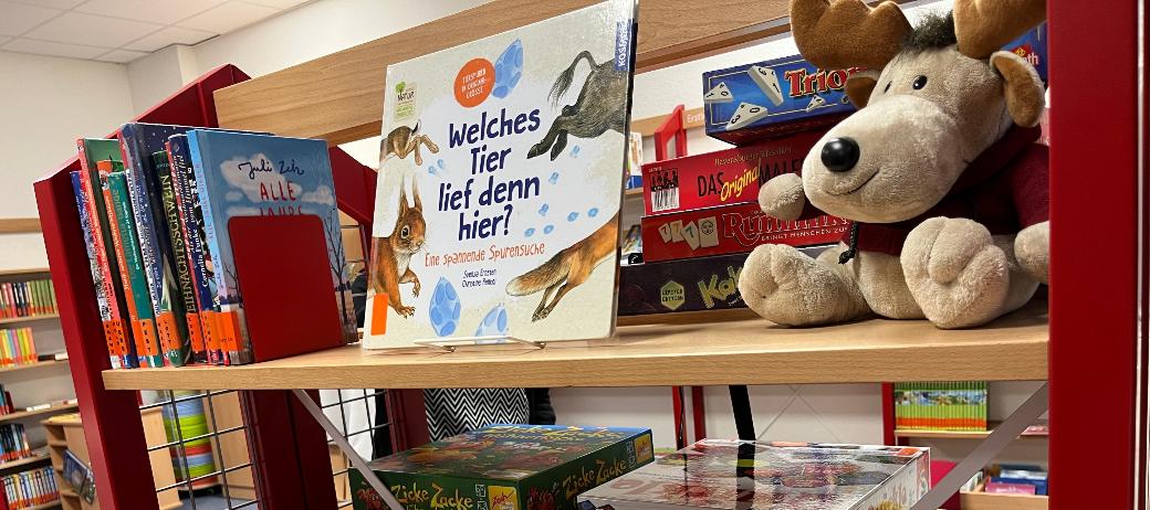 Bücher schmökern zur Sommerzeit