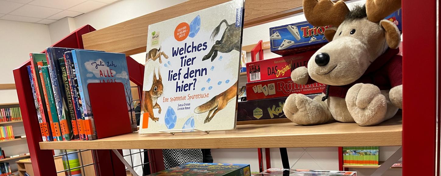 Bücher schmökern zur Sommerzeit