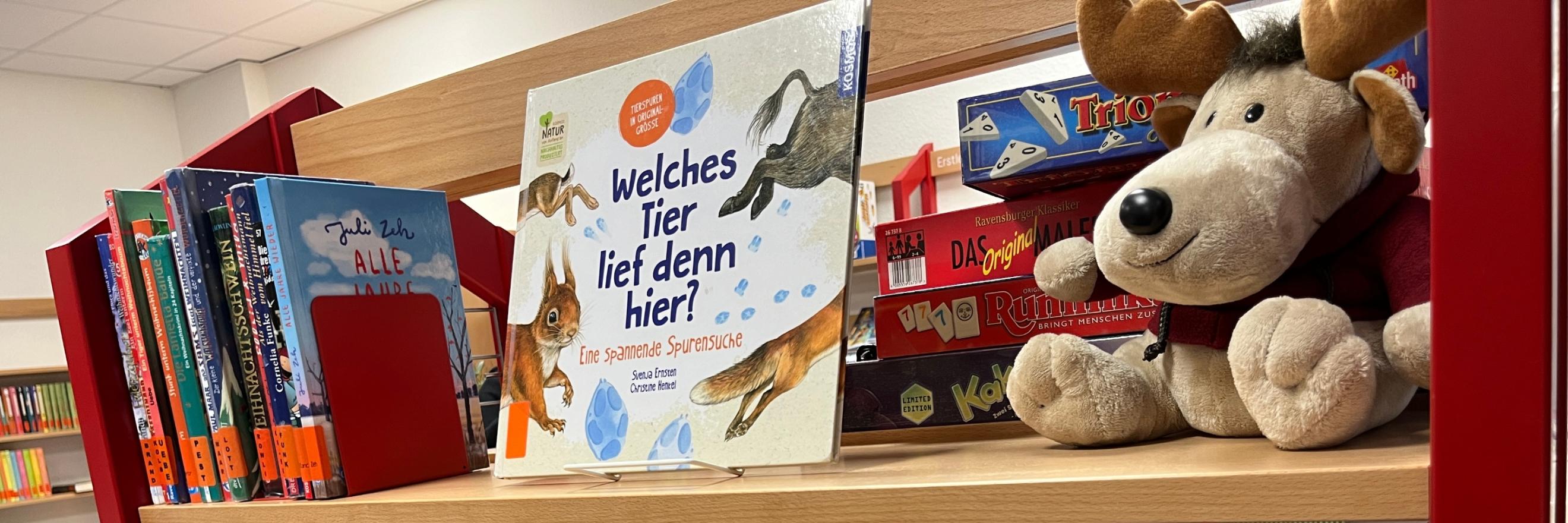 Bücher schmökern zur Sommerzeit