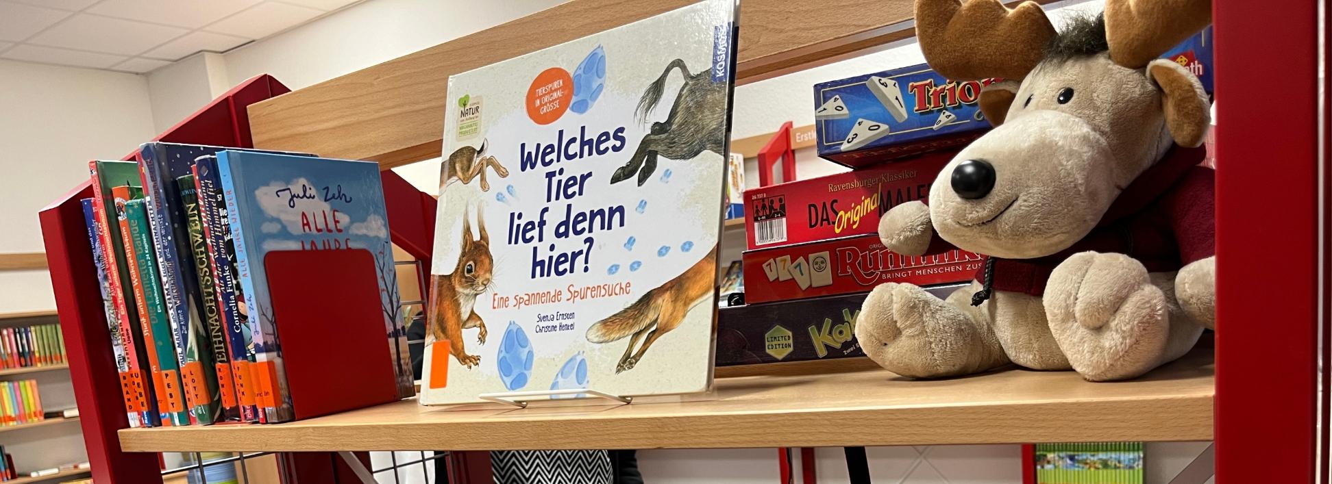 Bücher schmökern zur Sommerzeit