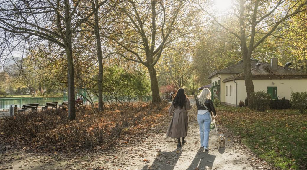 Zwei Frauen mit HUnd beim Spaziergang