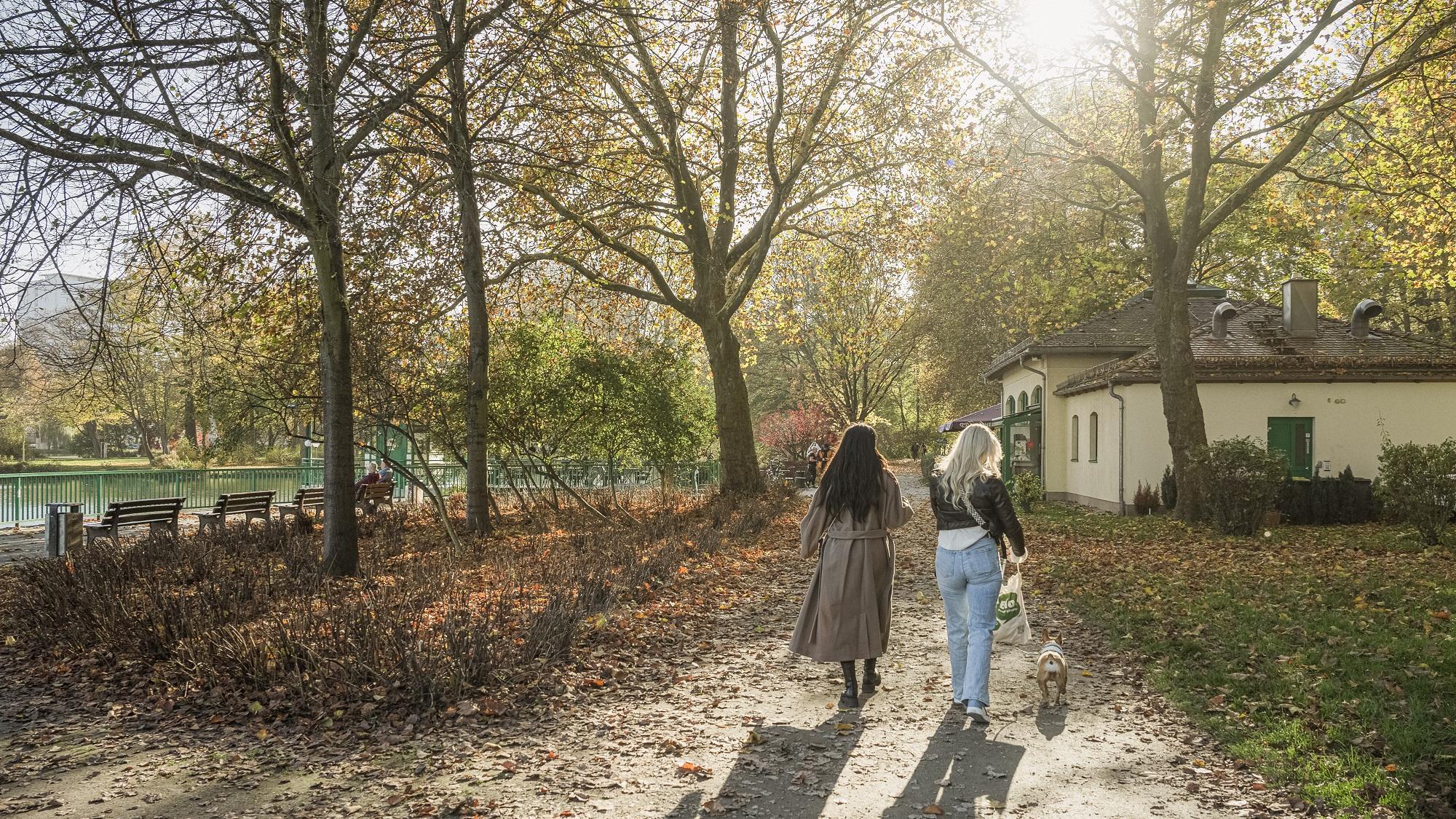 Zwei Frauen mit HUnd beim Spaziergang