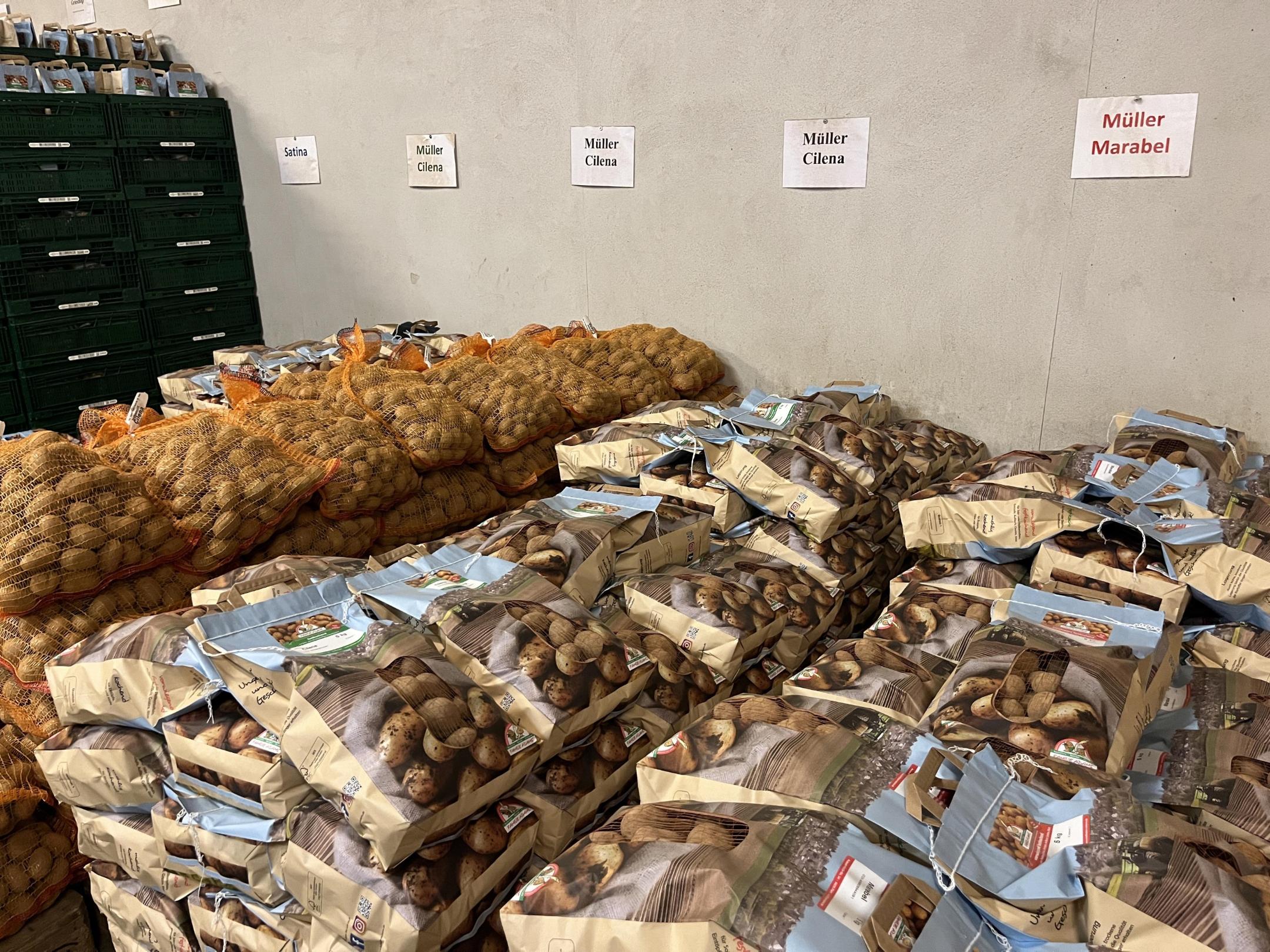 Viele Säcke mit unterschiedlichen Kartoffeln.
