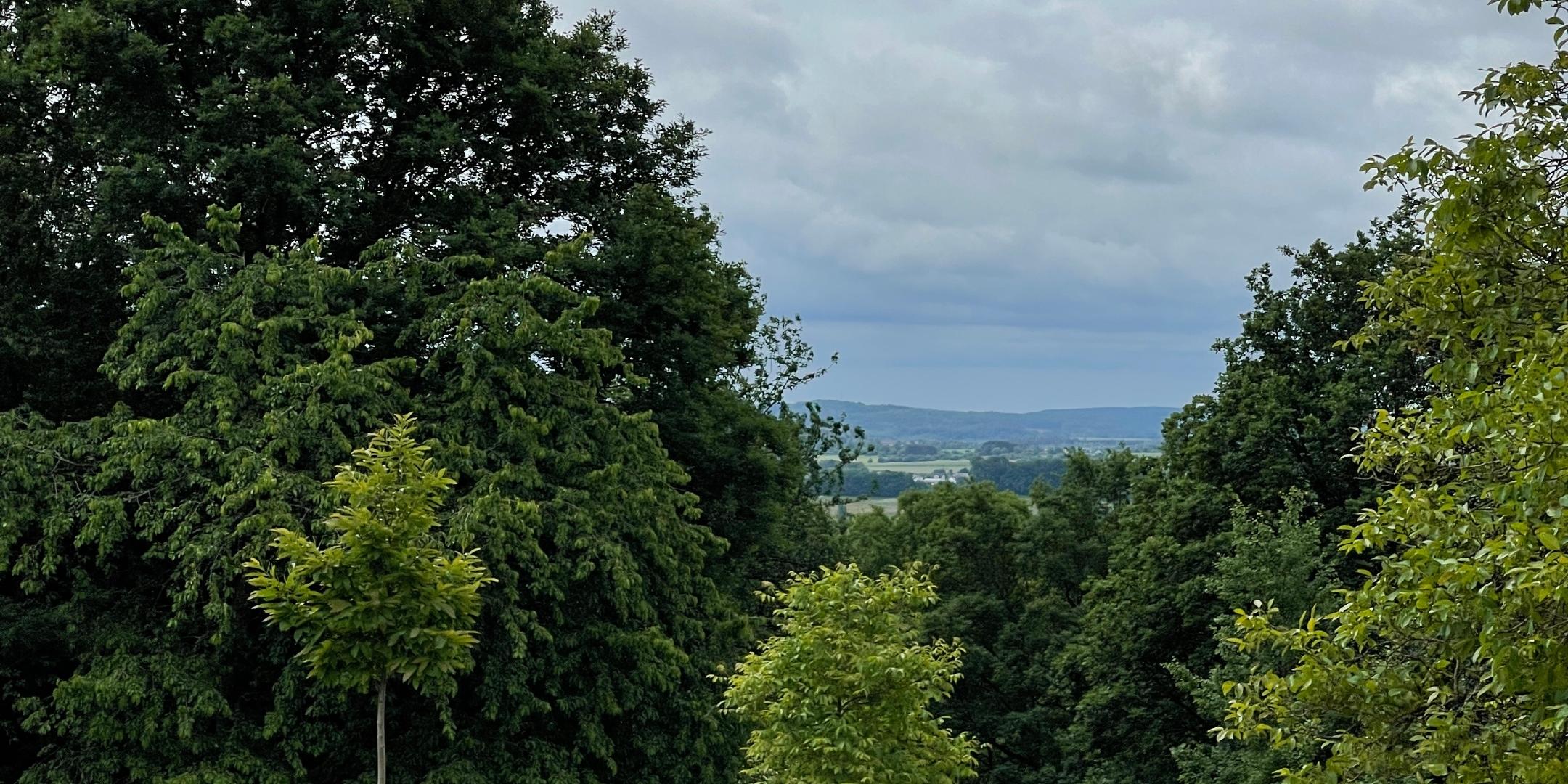 Landschaft in Oberthal