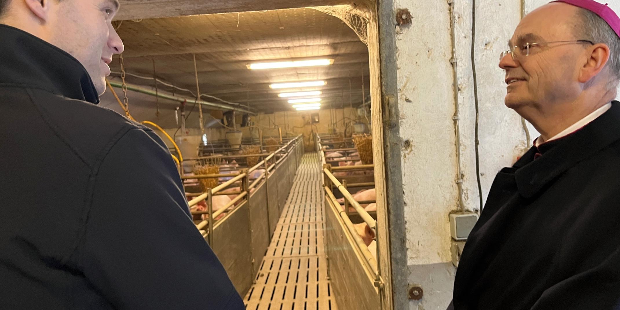 Weihbischof Brahm durfte auch einen Blick in den Schweinestall von Stefan Gilles werfen.