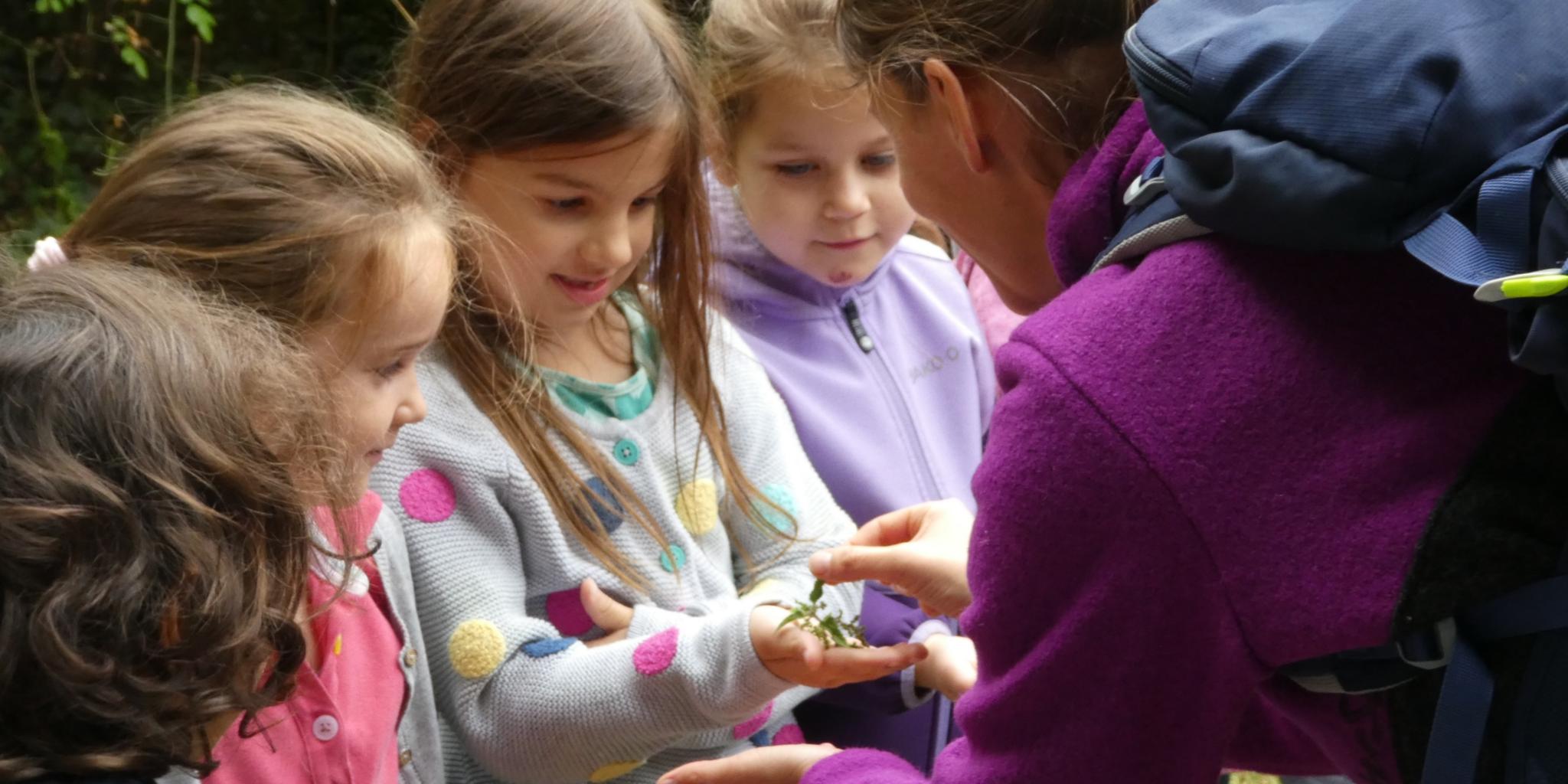 Im Montessori Kinderhaus des Koblenzer Caritasverbands gab es im Sommer ein Naturprojekt