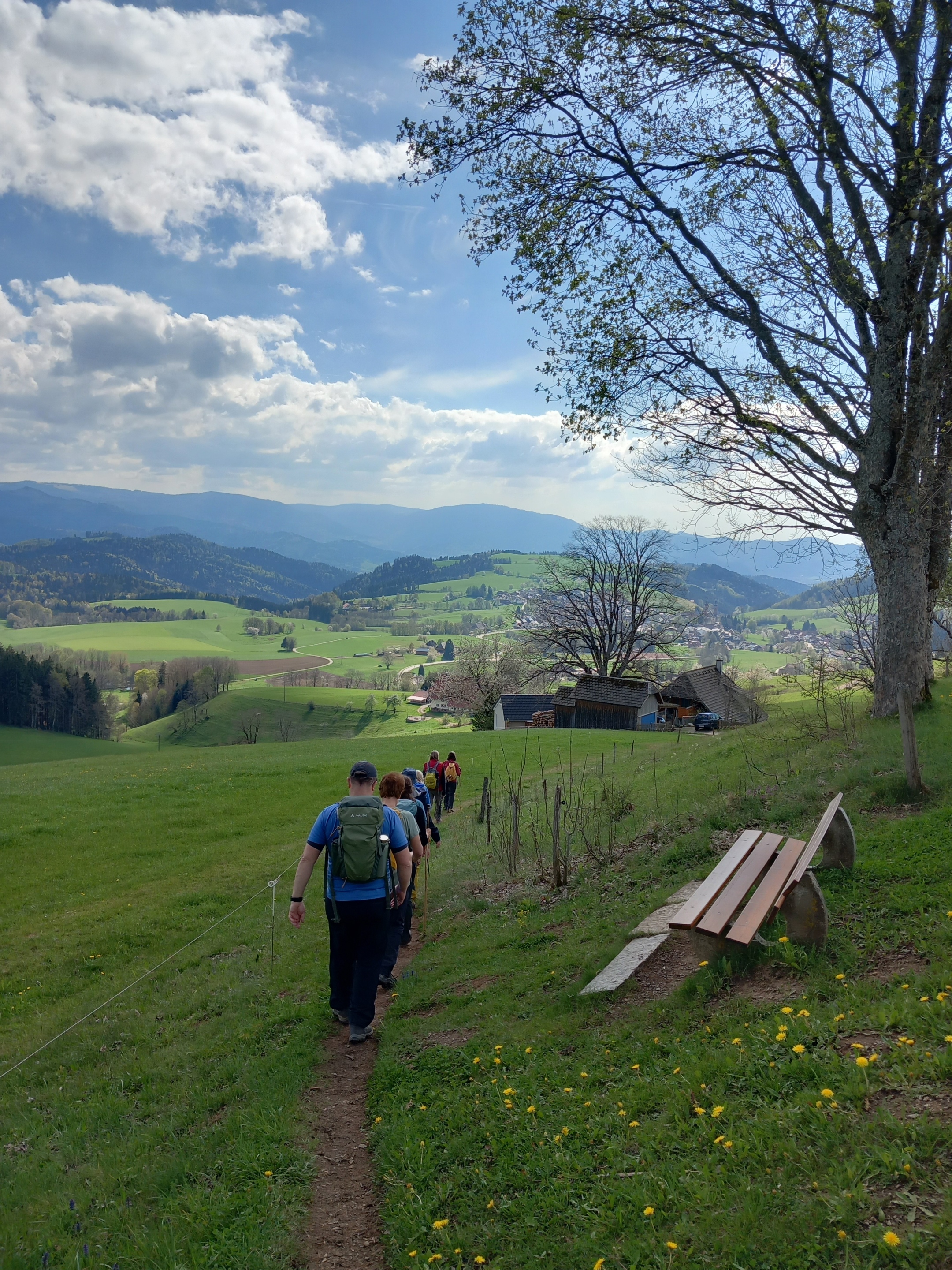 Pilgertage im Schwarzwald