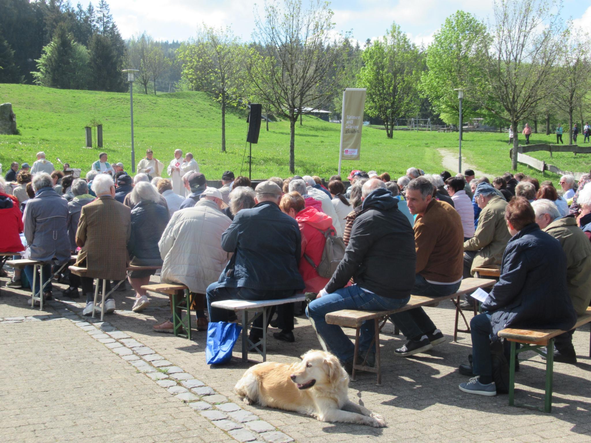 Auch Hunde sind willkommen.