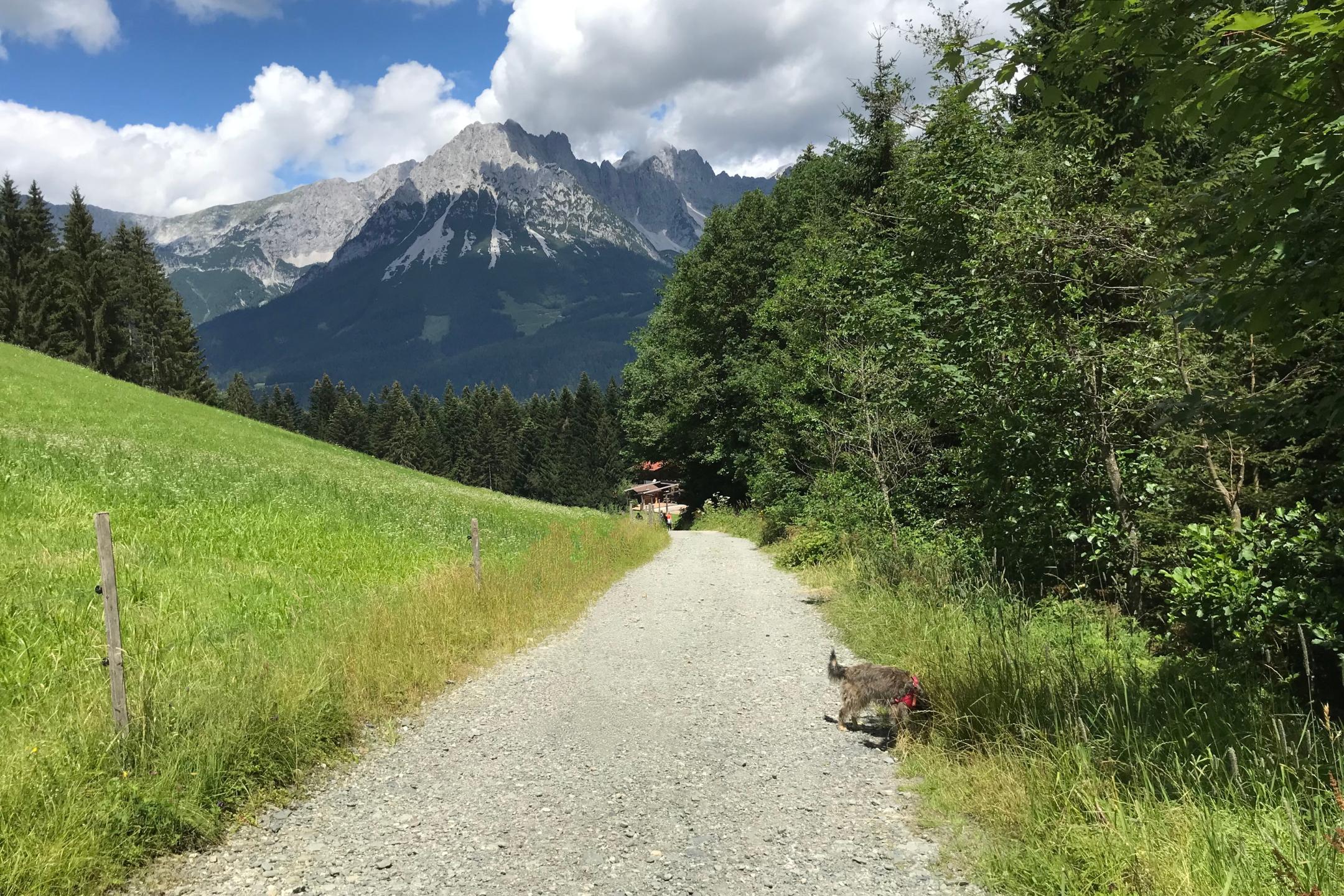 Pilgern ist ein Weg zu sich selbst, zu anderen und manchmal auch zu Gott.