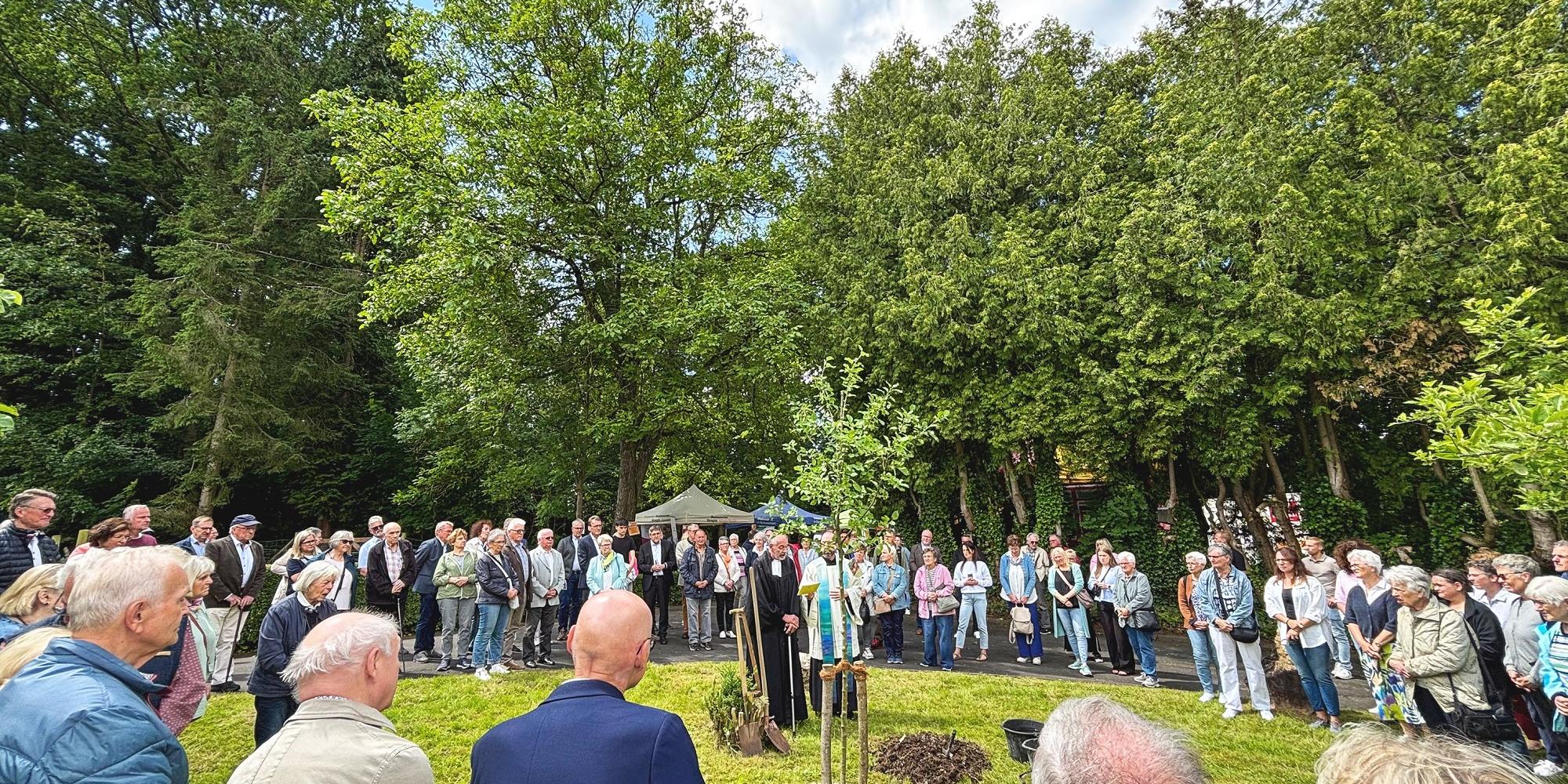 Nach dem Gottesdienst wurden auf dem ehemaligen Klostergelände ein Baum gepflanzt und gesegnet  sowie symbolisch kleine Grundsteine für den Hospiz-Neubau gelegt.