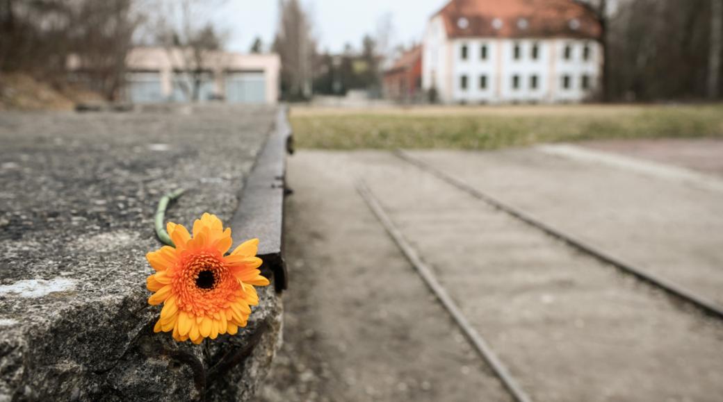 Eine Blume liegt auf dem Relikt eines Gleisstückes der ehemaligen Königlichen Pulver- und Munitionsfabrik, am 1. März 2024 vor dem Eingang der KZ-Gedenkstätte Dachau.