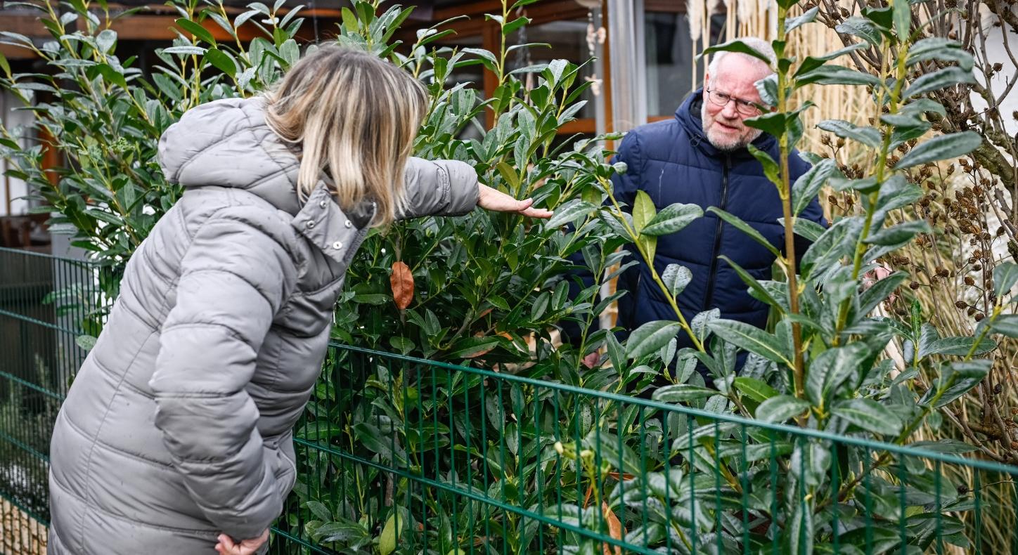 Nachbarn diskutieren am gartenzaun über die Höhe von Sträuchern