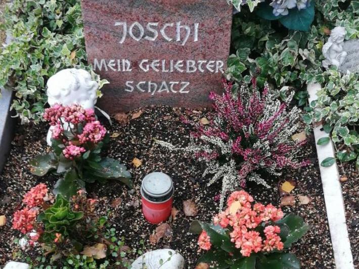 Grab auf einem Tierfriedhof
