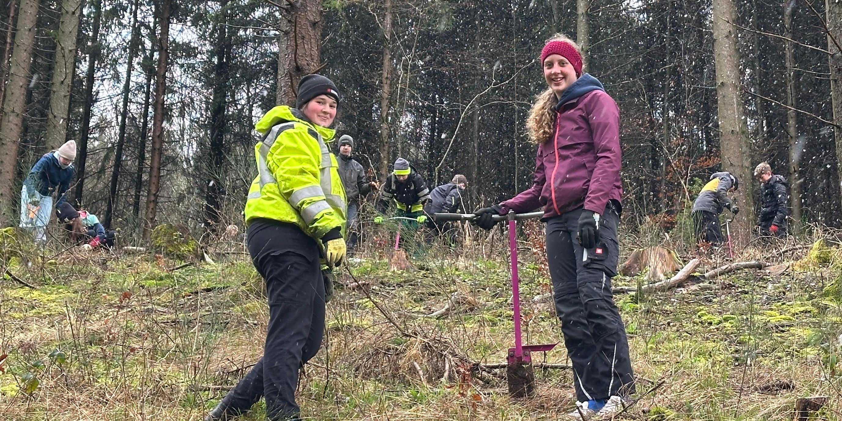 Lara und Luci sind im Wald und graben Erdlöcher aus, um die Setzlinge einzupflanzen.