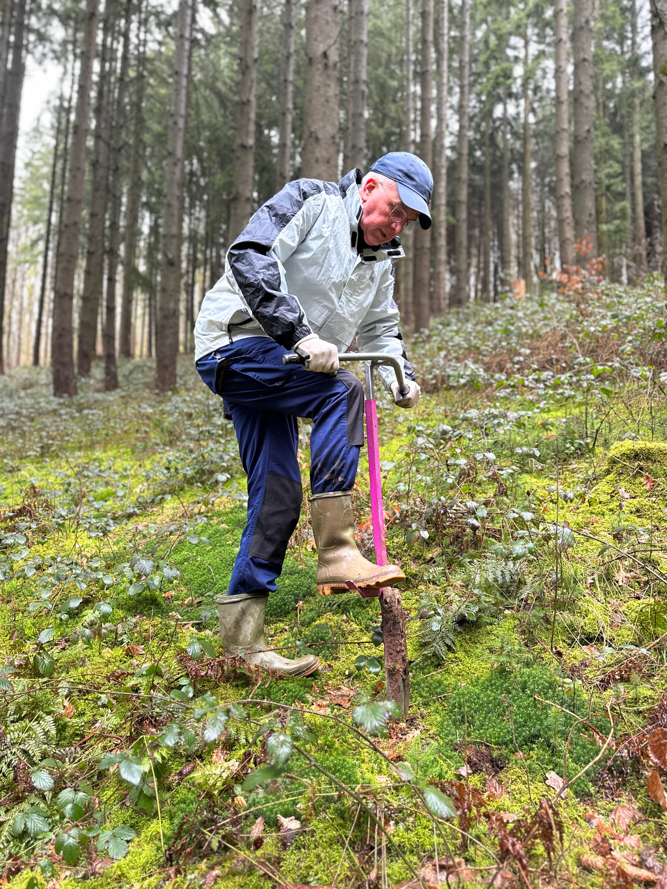 Weihbischof Peters hebt Erdlöcher aus für die Setzlinge