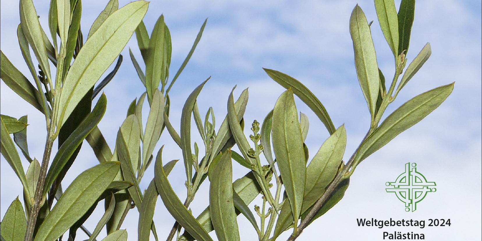 Logo des Weltgebetstages 2024