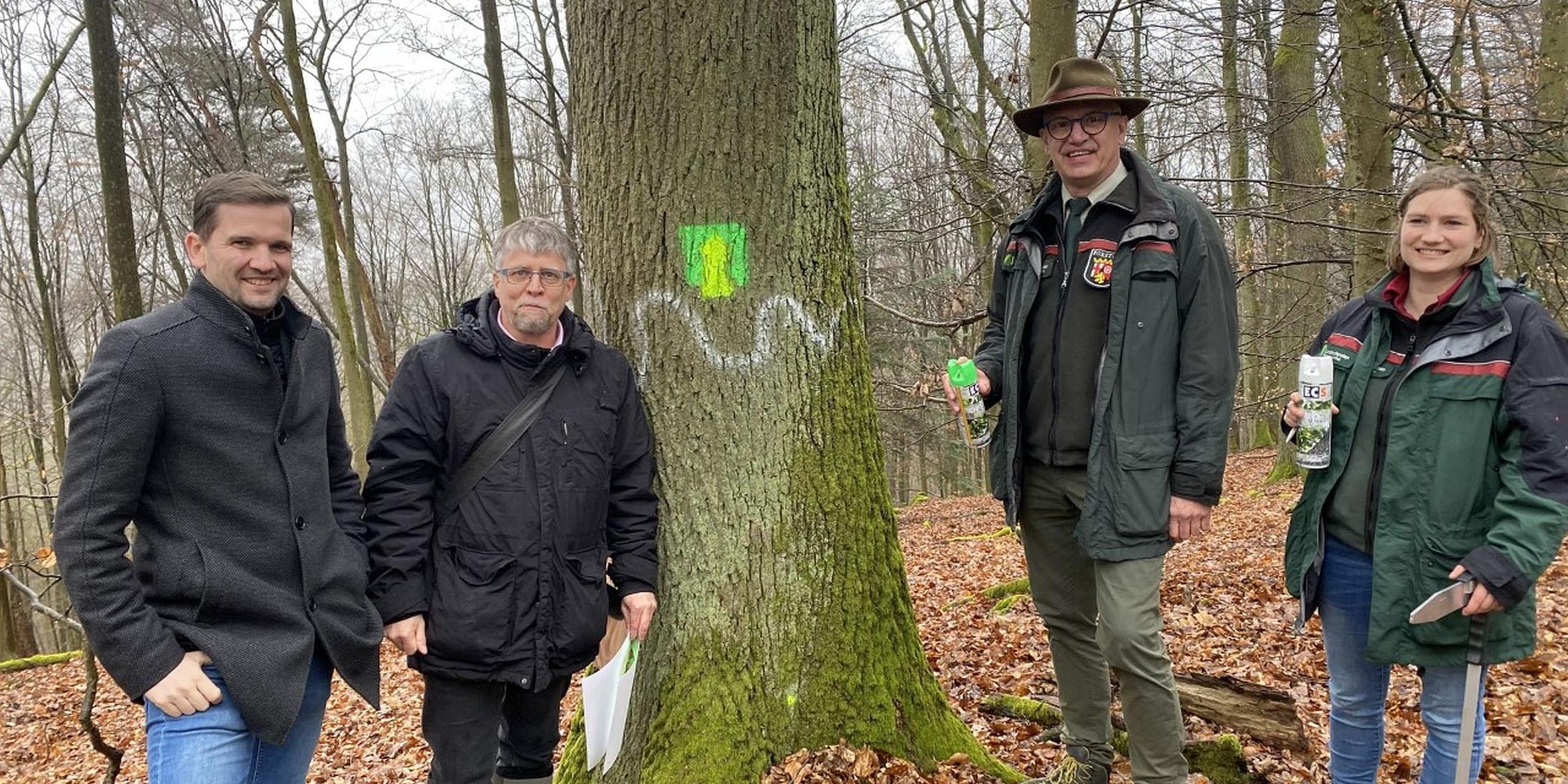 Bei der Zwischenbilanz des Projekts am Kockelsberg (von links): Tobias Reiland, Andreas Wagner, Gundolf Bartmann und Regionalförsterin Alena Wehr.
