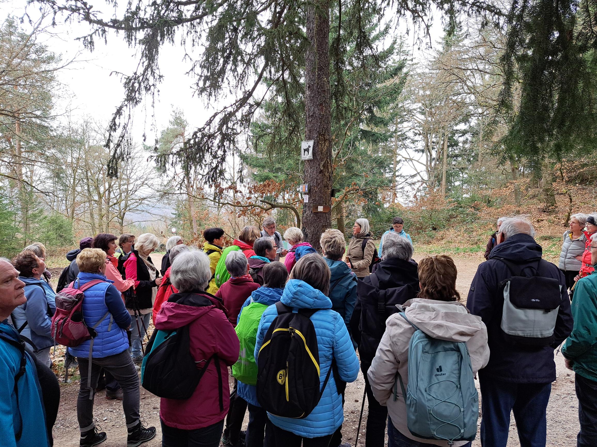 Viele Interessierte nehmen das Angebot 'Wandern Plus' des Pastoralen Raums Sankt Goar gerne an.