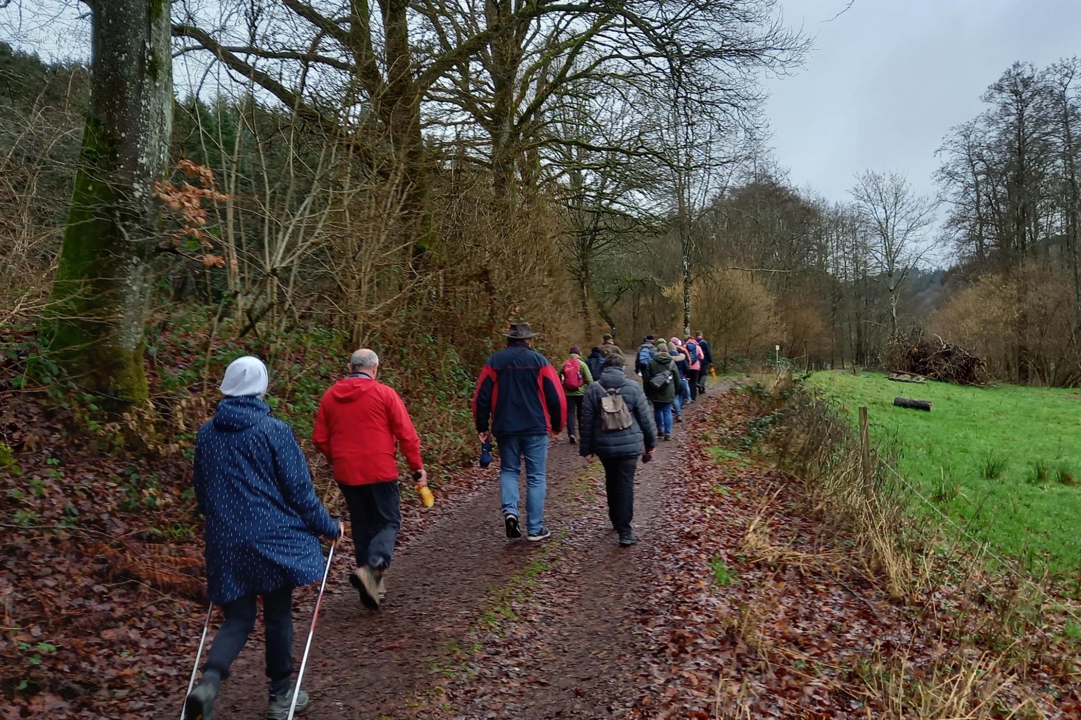 Eine Gruppen von Frauen und Männer pilgert durch einen Waldweg.