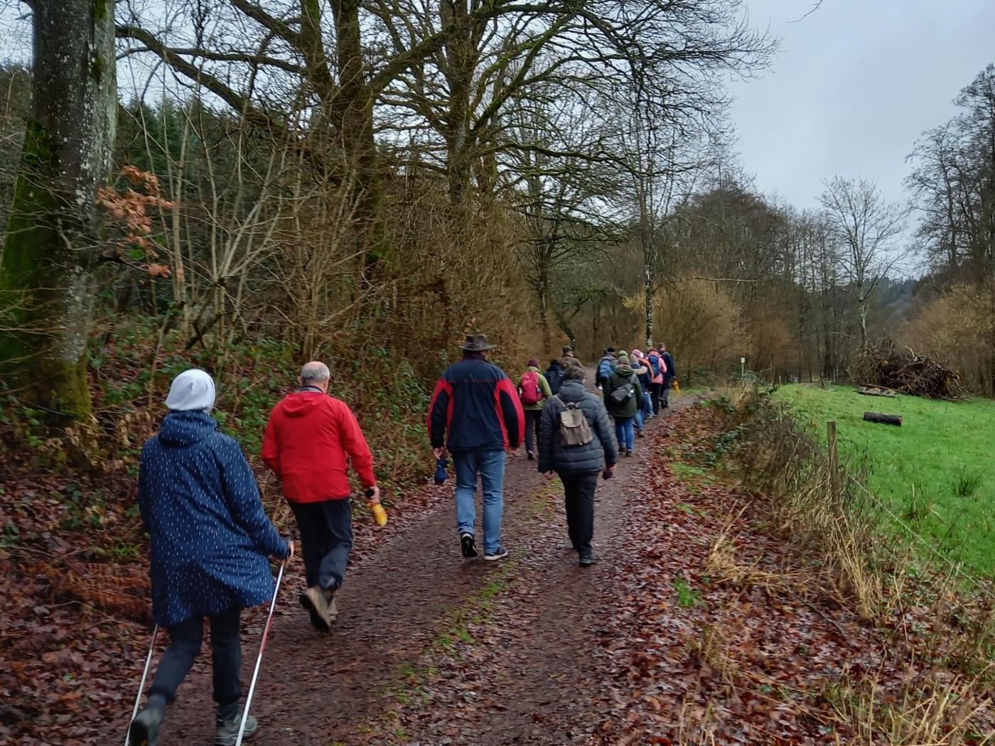 Eine Gruppen von Frauen und Männer pilgert durch einen Waldweg.