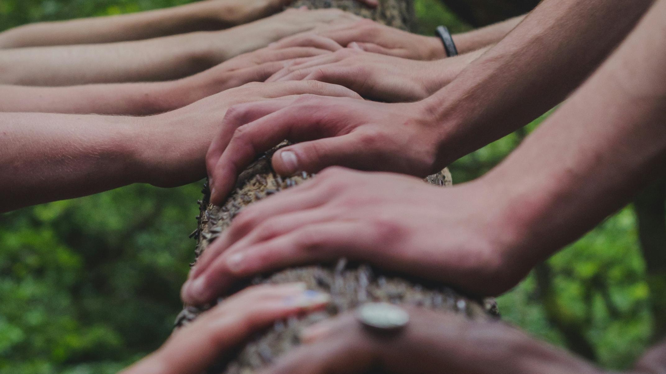 Eine Gruppe von Menschen, die sich auf einem Baum an den Händen halten