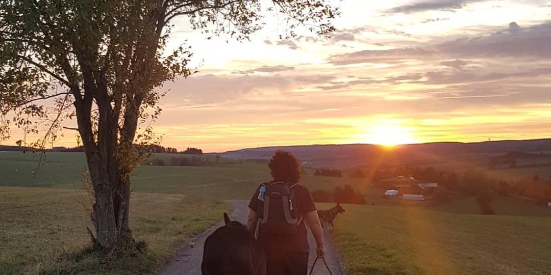 Bei der biblischen Wanderung durch die Eifel dürfen die grauen Vierbeiner nicht fehlen (Foto: KEB Westeifel)