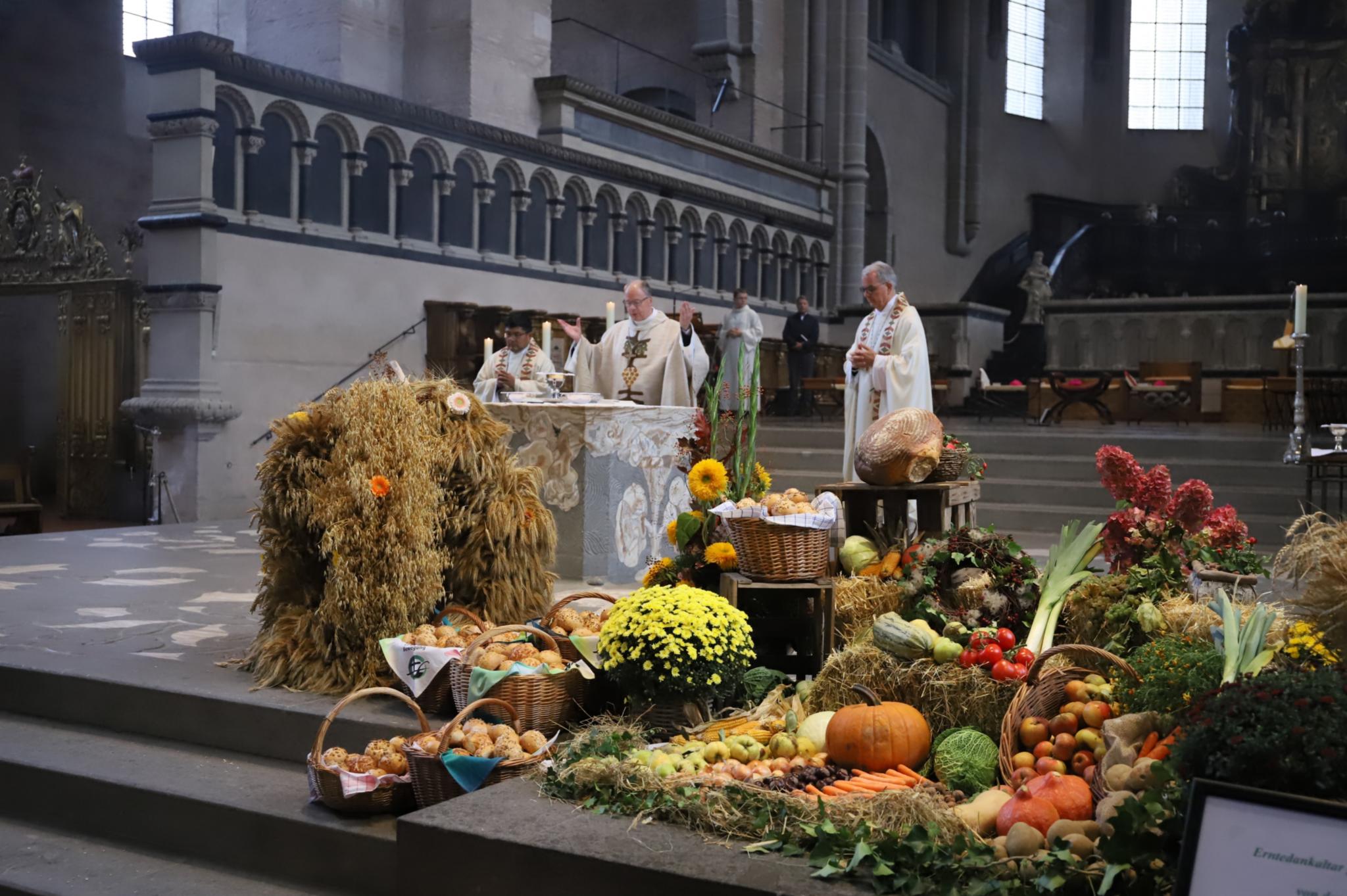 Die Bischöfe Herbas, Ackermann und Peters (vlnr) feierten den Erntedankgottesdienst im Dom (Foto: Bistum Trier/J. Rupp)