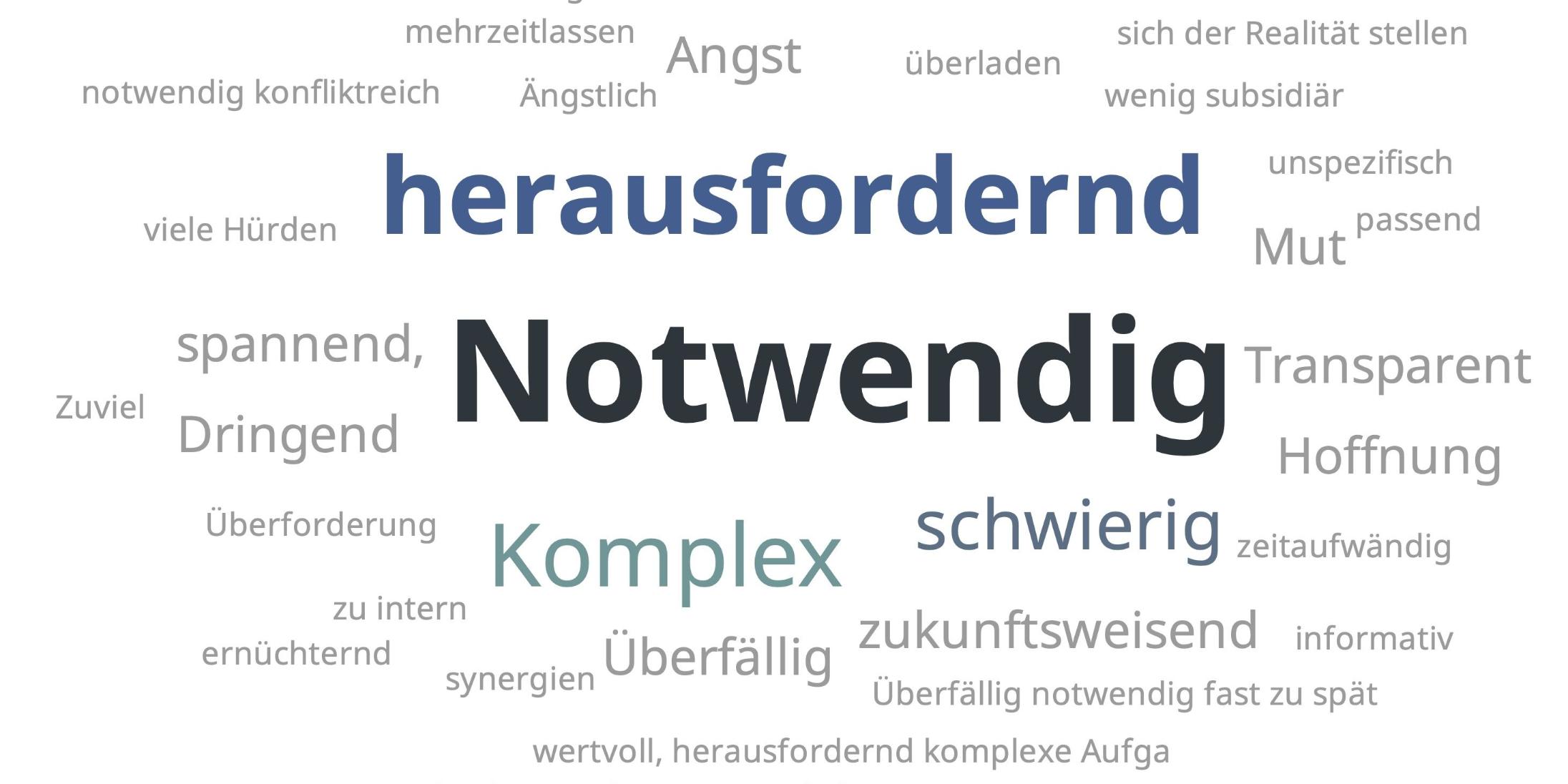 Ein herausfordernder wie notwendiger Prozess ist die Haushaltssicherung im Bistum Trier (Foto: 'Wortwolke' aus der Beratung der Gremien im Oktober 2021)