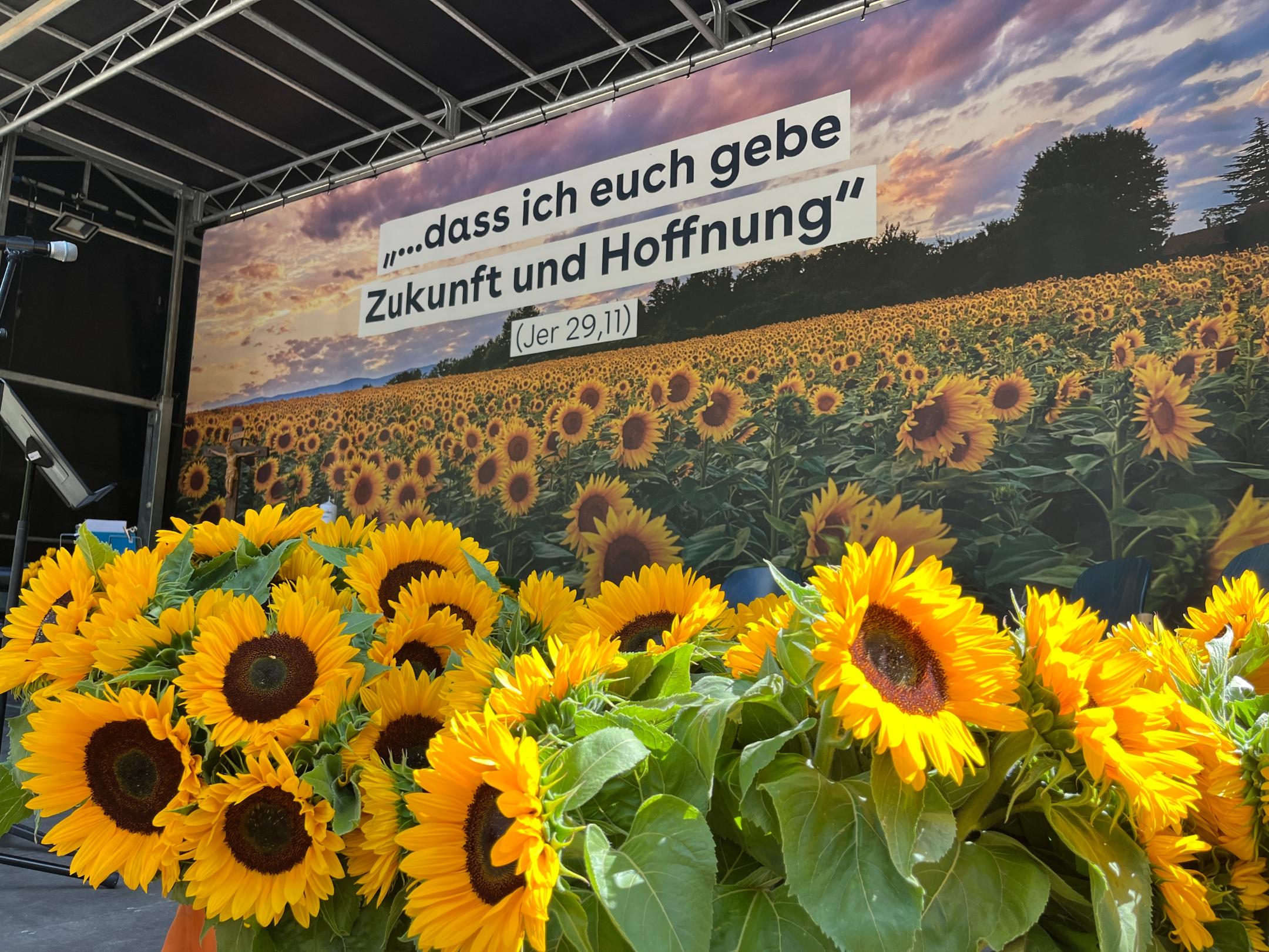 Die Sonnenblumen sind als Hoffnungszeichen in Ahrbrück beim ersten Jahresgedenken verteilt worden.