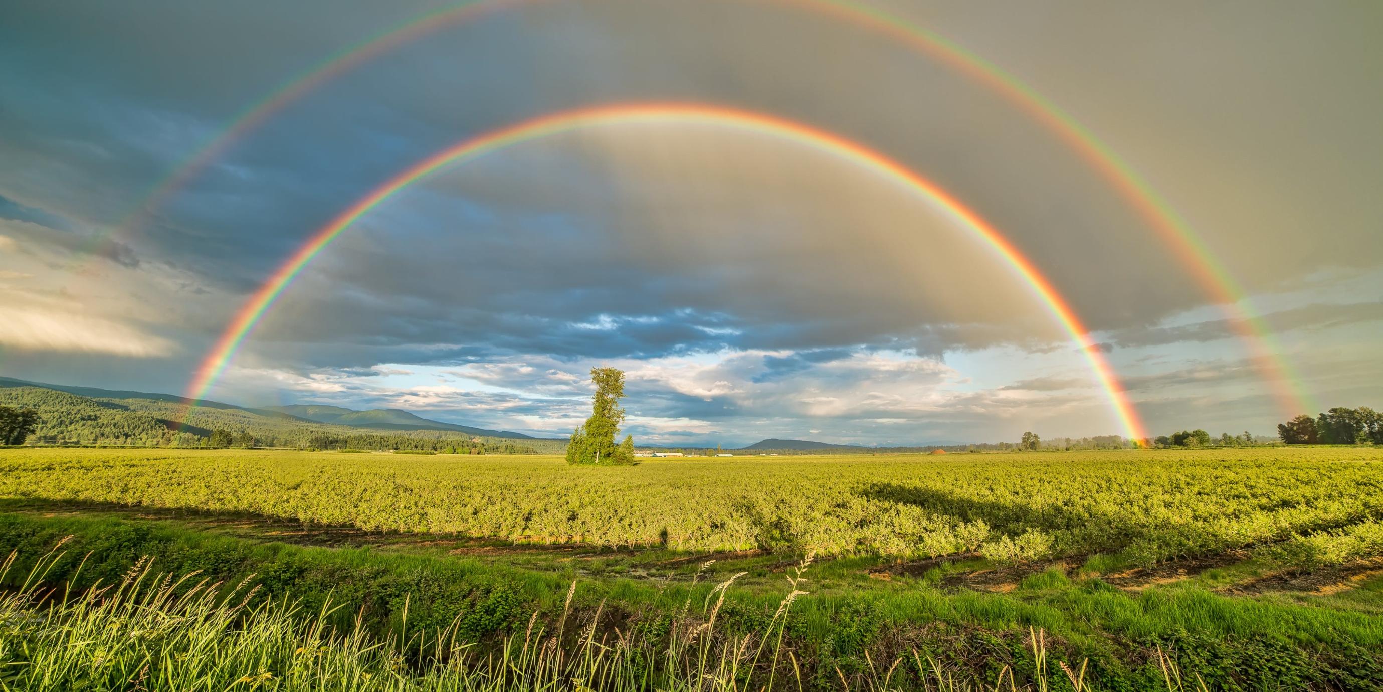 Zu sehen ist ein Symbolbild für Landwirtschaft: ein Acker mit zwei Regenbögen darüber.