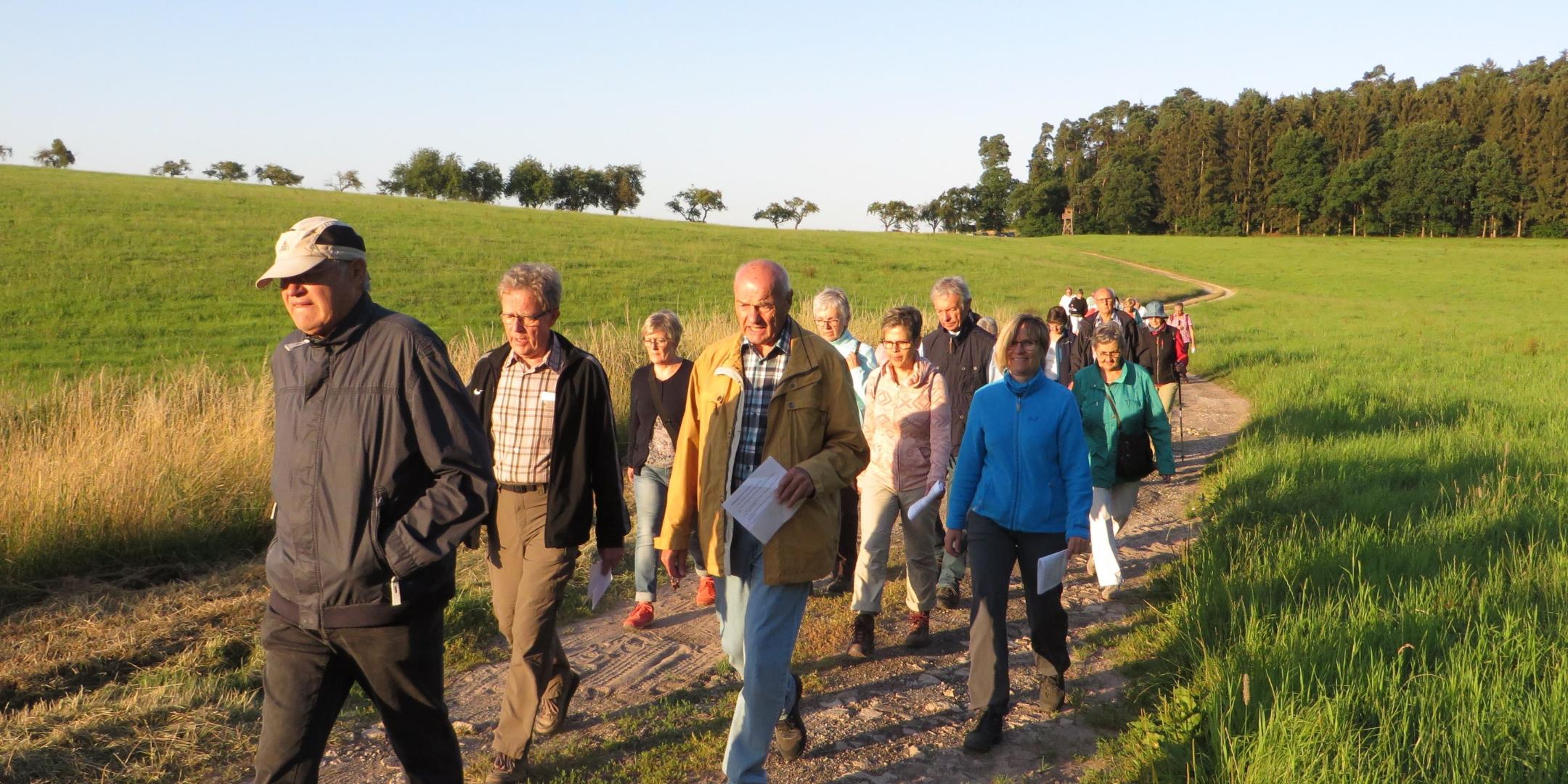 Die Pilgergruppe auf dem Weg (Foto: KLB)