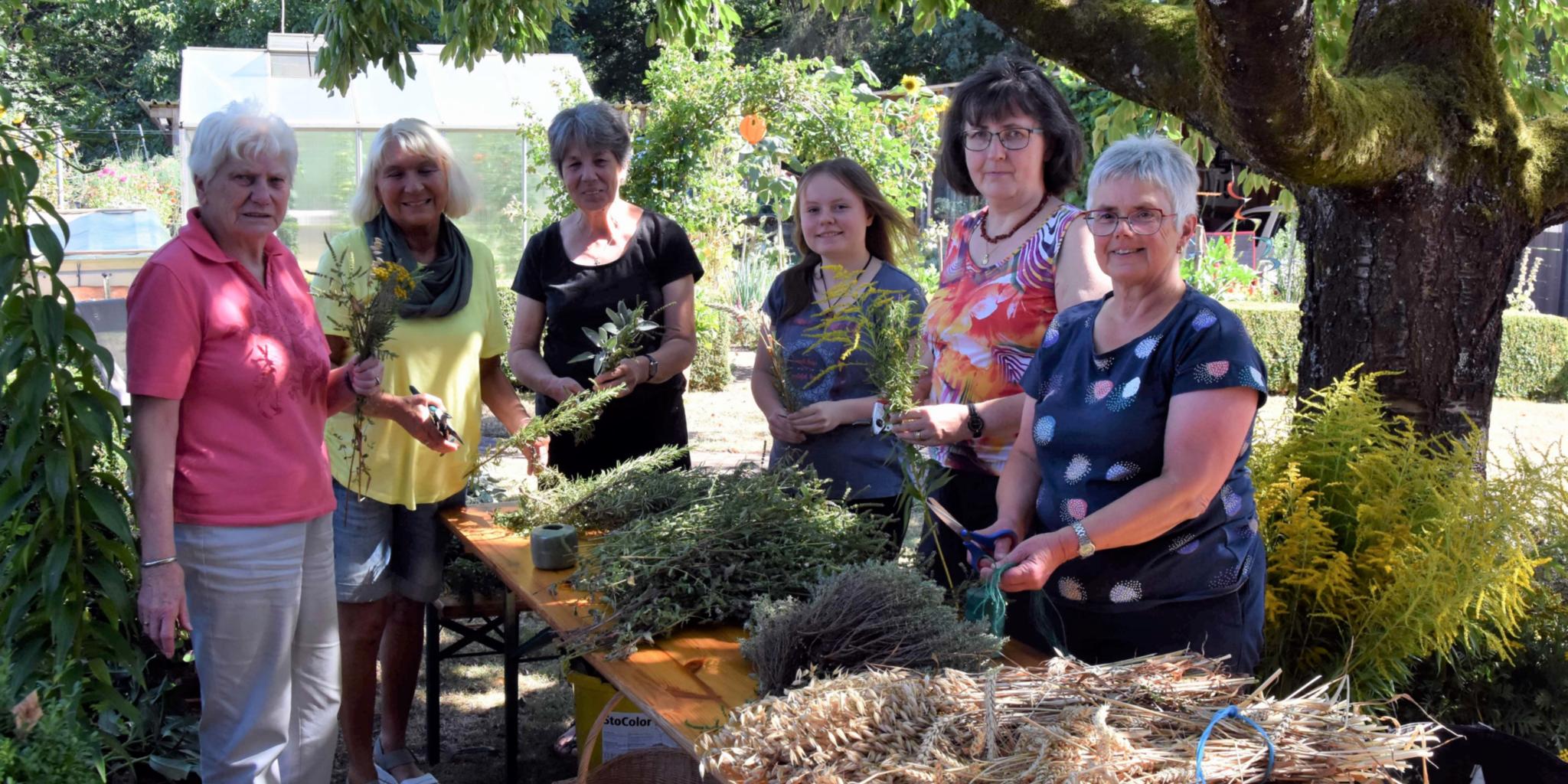 Marlene Klein, Birgit Litz, Silvia Kockler, Sophie Wilhelm, Gabriele Schneider-Lüder und Doris Therre (von links) binden Kräutersträuße für Maria Himmelfahrt. Foto: Ute Kirch