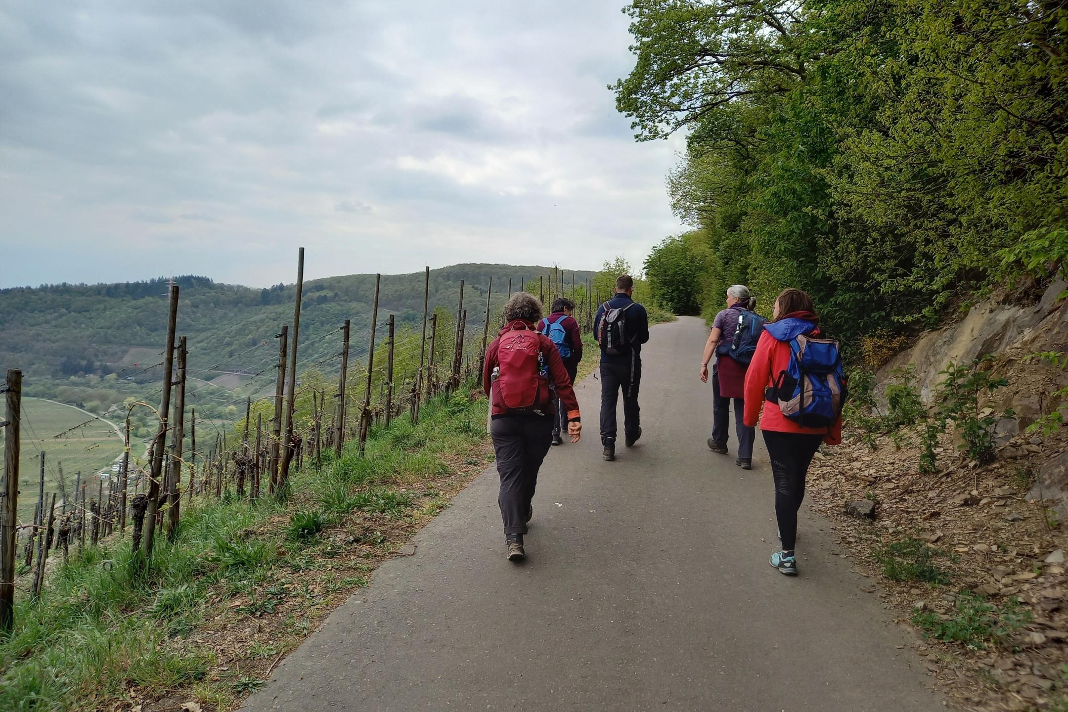 Den Abschluss bildete ein Pilgertag an der Mosel (Foto: Judith Schwickerath)