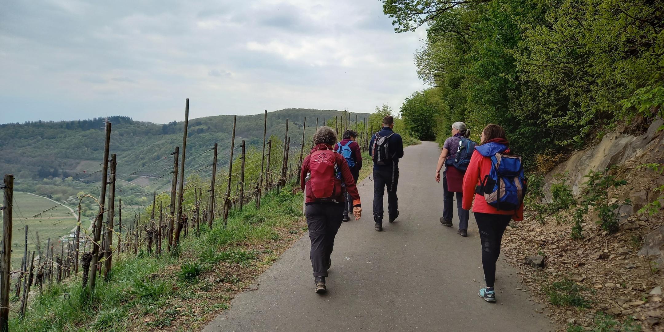 Den Abschluss bildete ein Pilgertag an der Mosel (Foto: Judith Schwickerath)