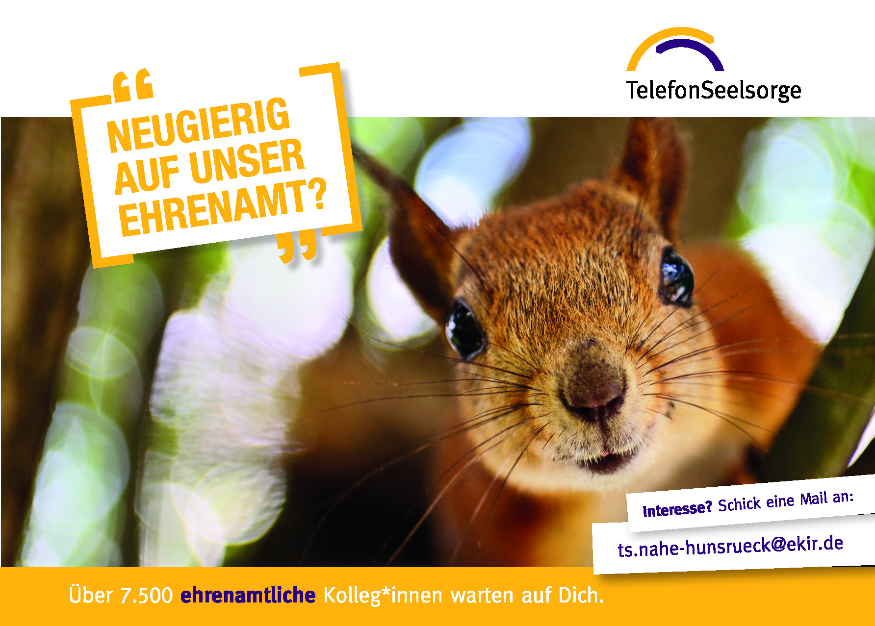 Postkarte Eichhhoernchen