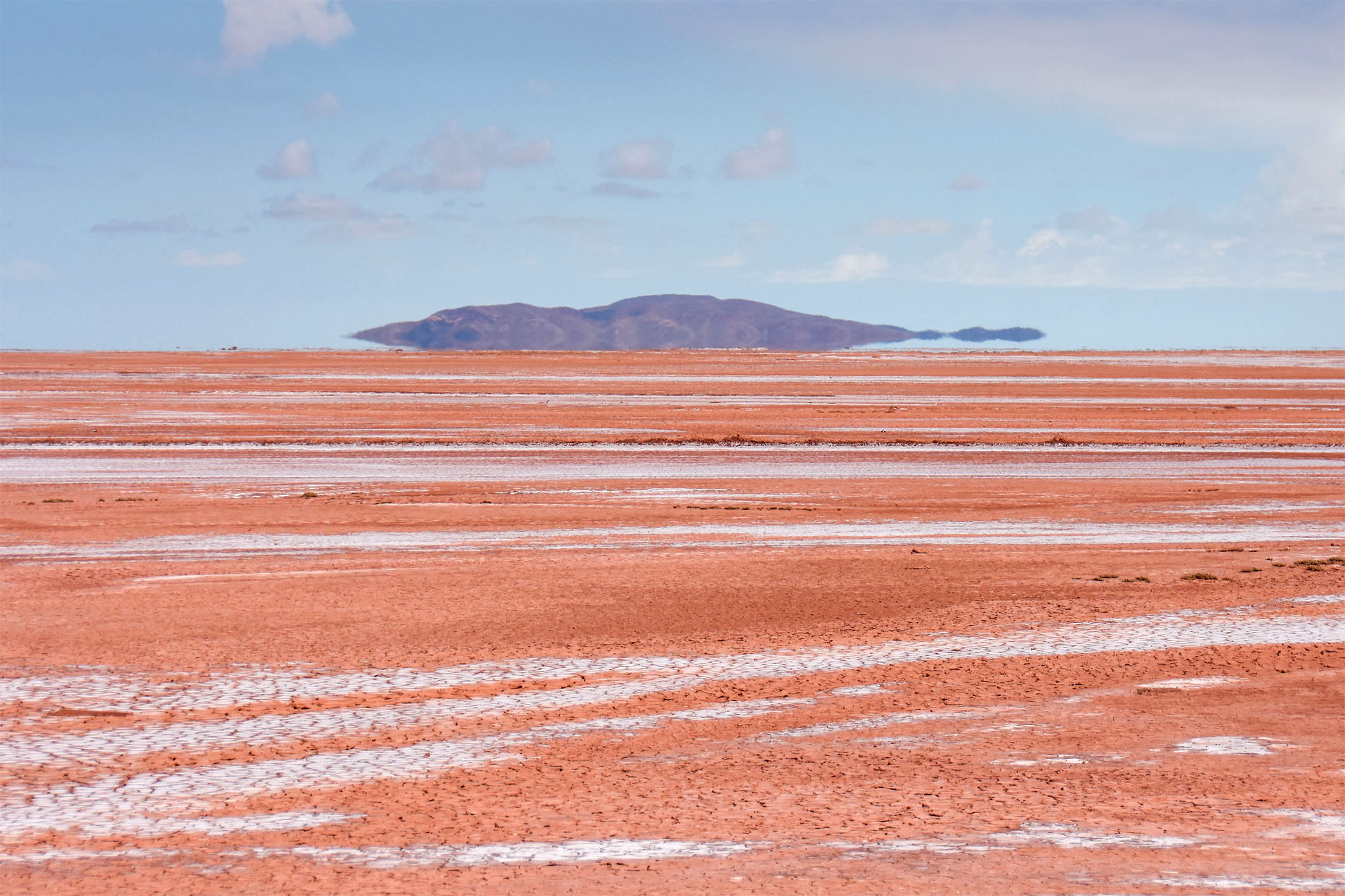Salar 06 dh